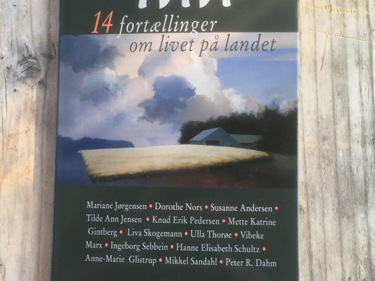 Billede 1 - Tvivl: 14 fortællinger om livet på landet