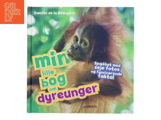 Min lille bog om dyreunger af Camilla de la Bédoyère (Bog)