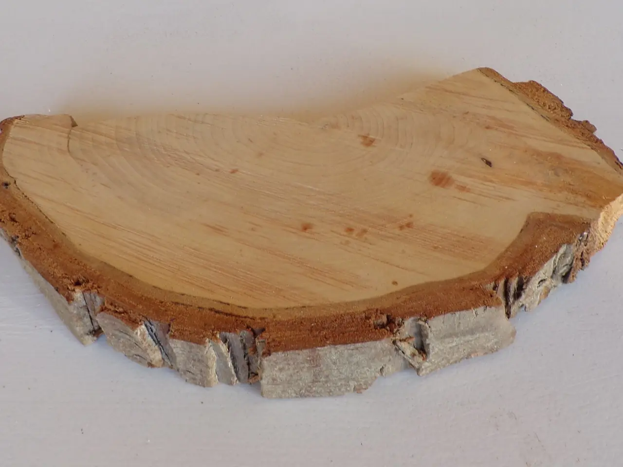 Billede 3 - NY Thuja Træskive 27 cm til kreative projekter