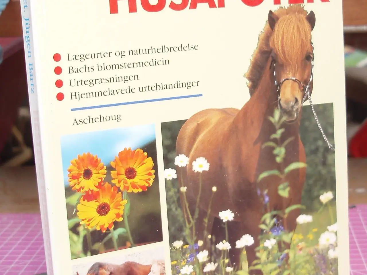 Billede 1 - Hestens Husapotek af Dr.med.vet. Jürgen Bartz
