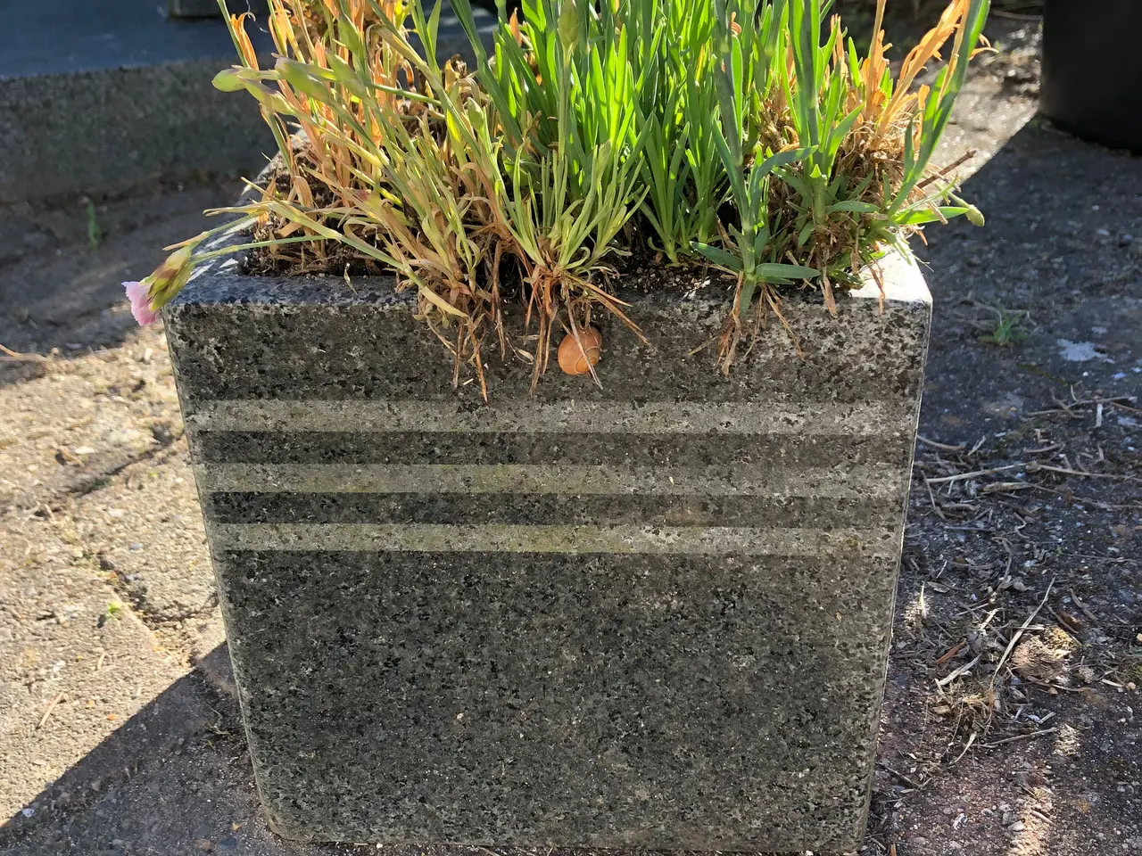 Billede 1 - Marmor poleret plantekrukke