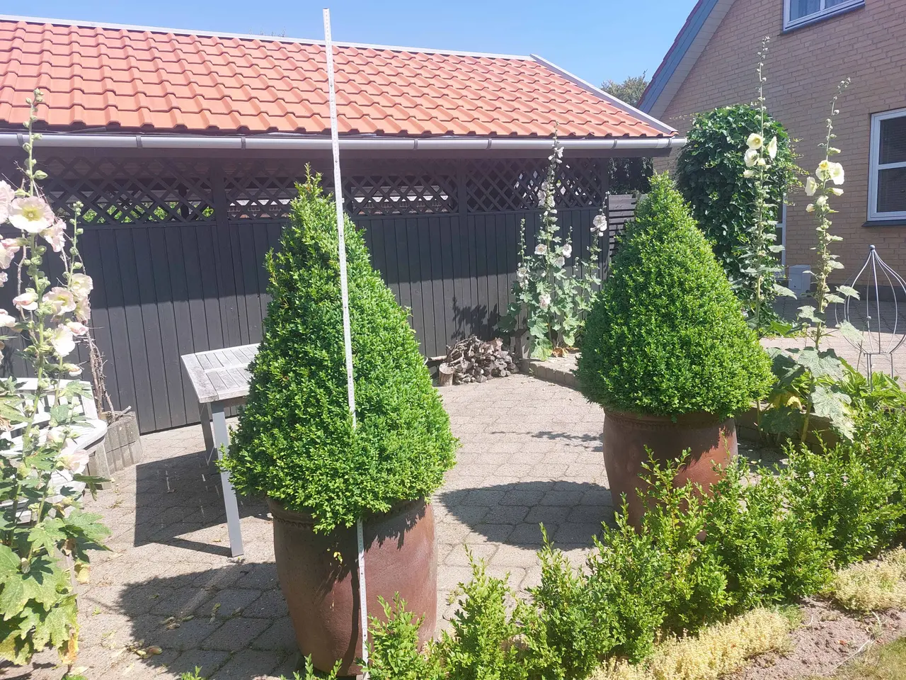 Billede 2 - Beplantning til hoveddøren ved en herskabsvilla.
