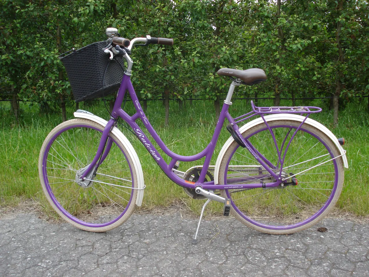 Billede 1 - Cykel til pige/dame, Raleigh classic de luxe
