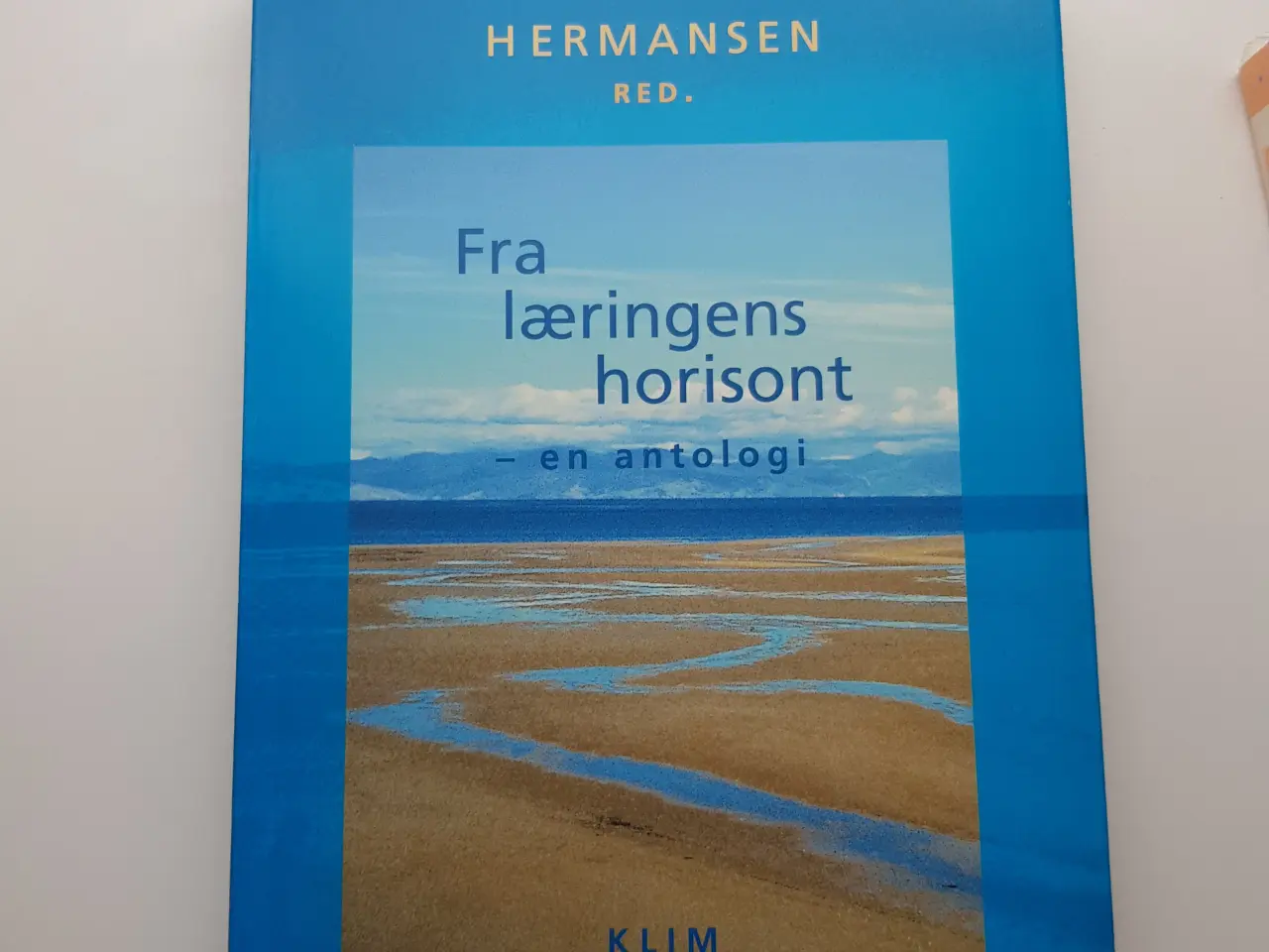Billede 1 - Fra læringens horisont - Mads Hermansen (Red.)