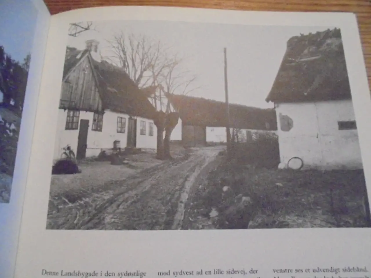 Billede 3 - Gamle danske bøndergårde – se fotos og omtale