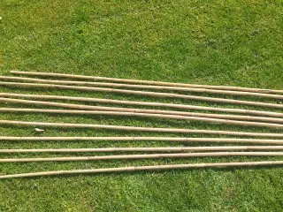 Bambusstokke Blomsterpinde