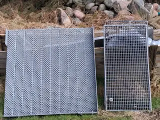 Elefant riste