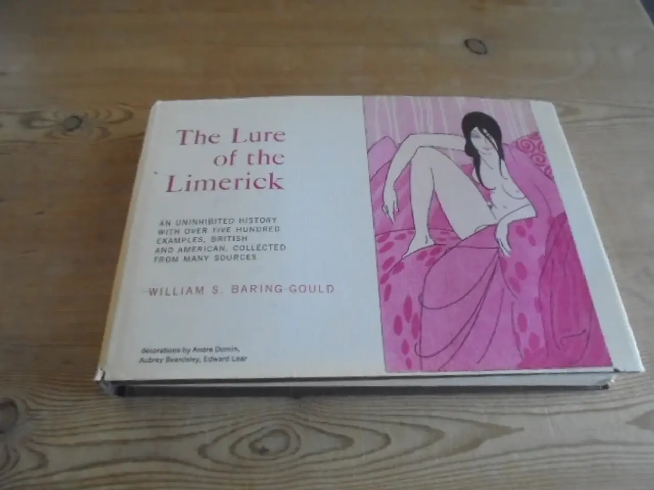 Billede 1 - The Lure of the Limerick - engelsksproget 