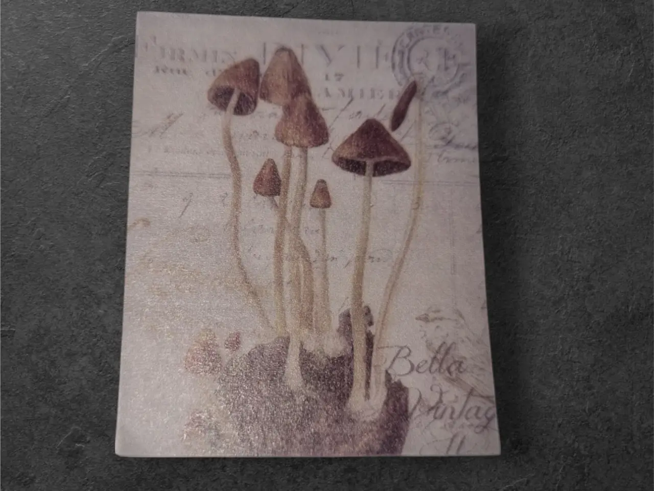 Billede 1 - Vintage svampeillustration på elegant papirark
