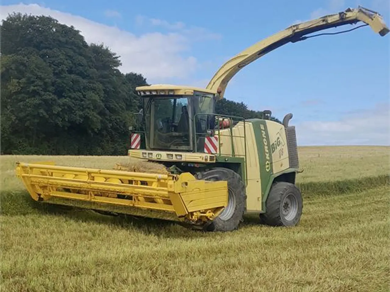 Billede 20 - Krone BiG X V8
