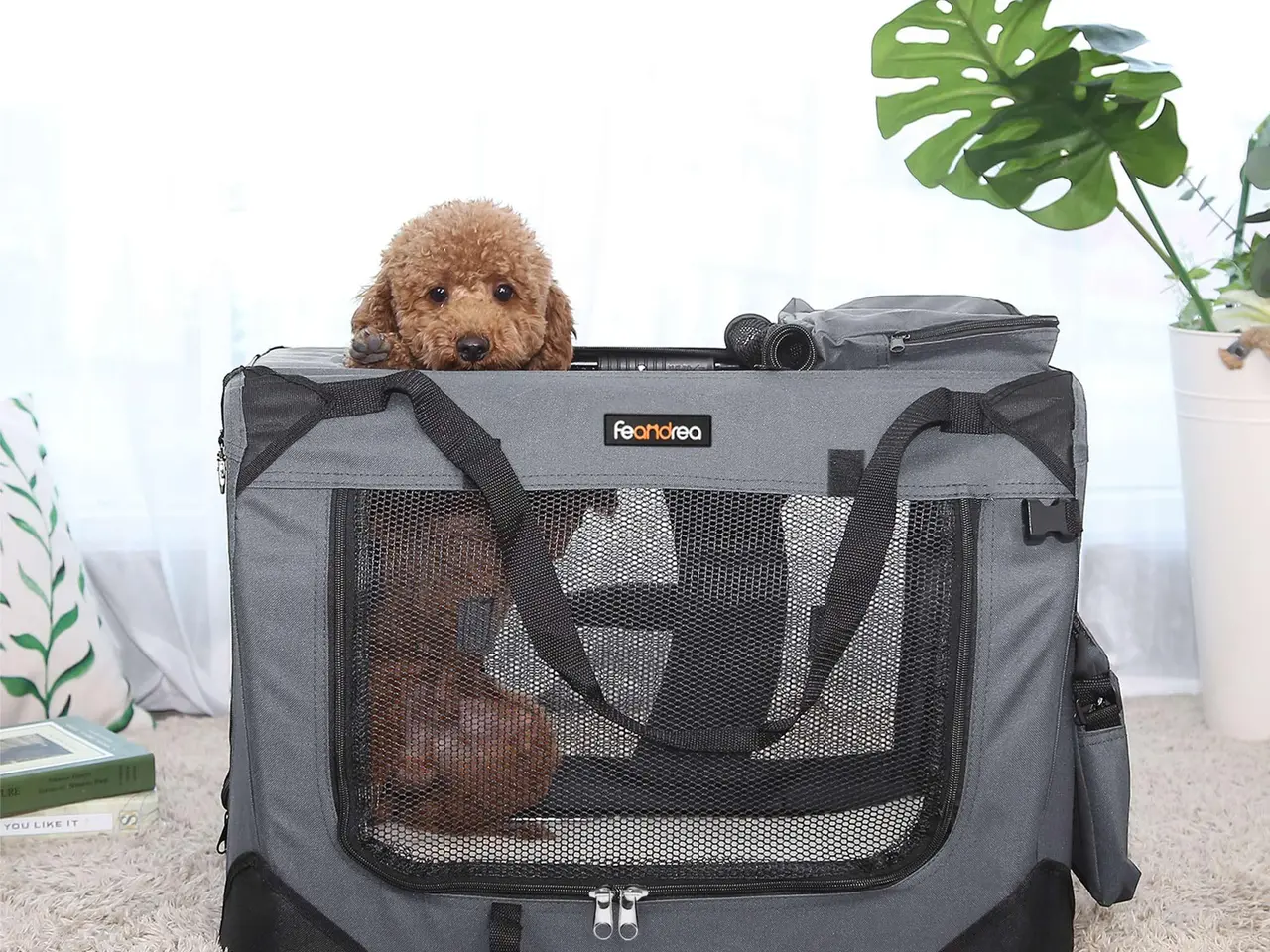 Billede 2 - Hundetransporttaske FEANDREA sammenklappelig - grå, 70 x 52 x 52 cm