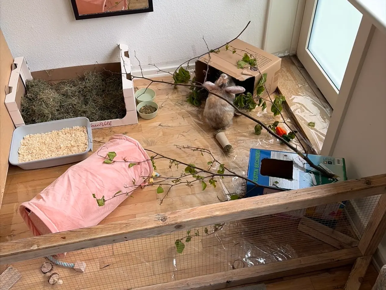 Billede 3 - Sød 1-årig han-kanin søger nyt hjem 🐰