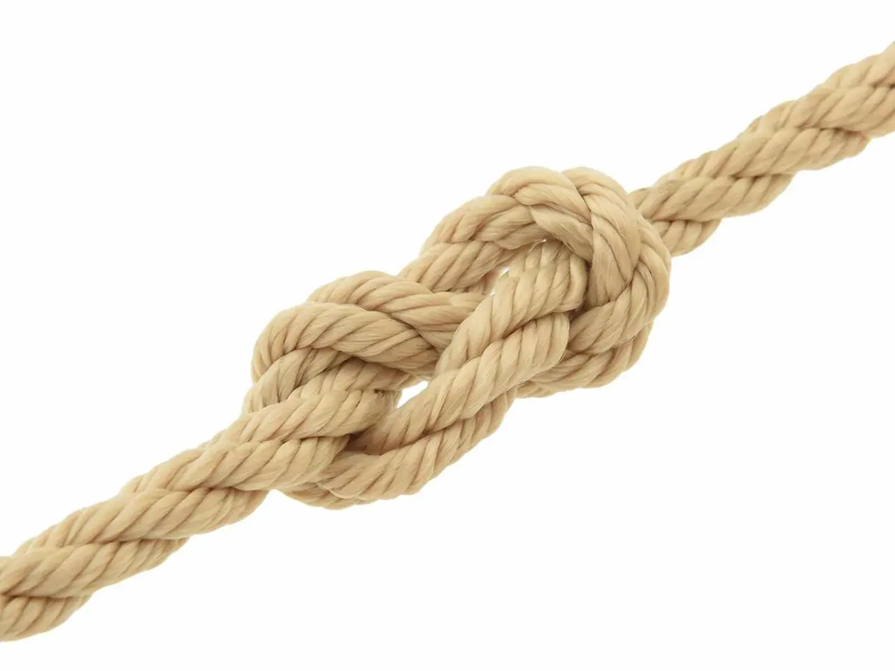Billede 3 - PP-reb 8 mm 50 m - naturfarvet
