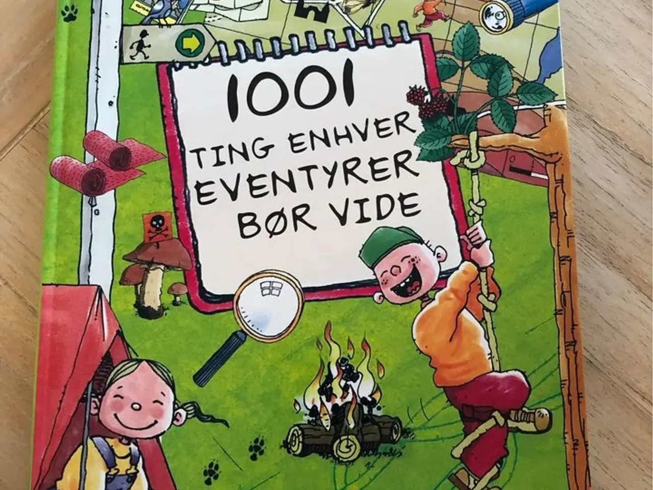 Billede 1 - 1001 ting