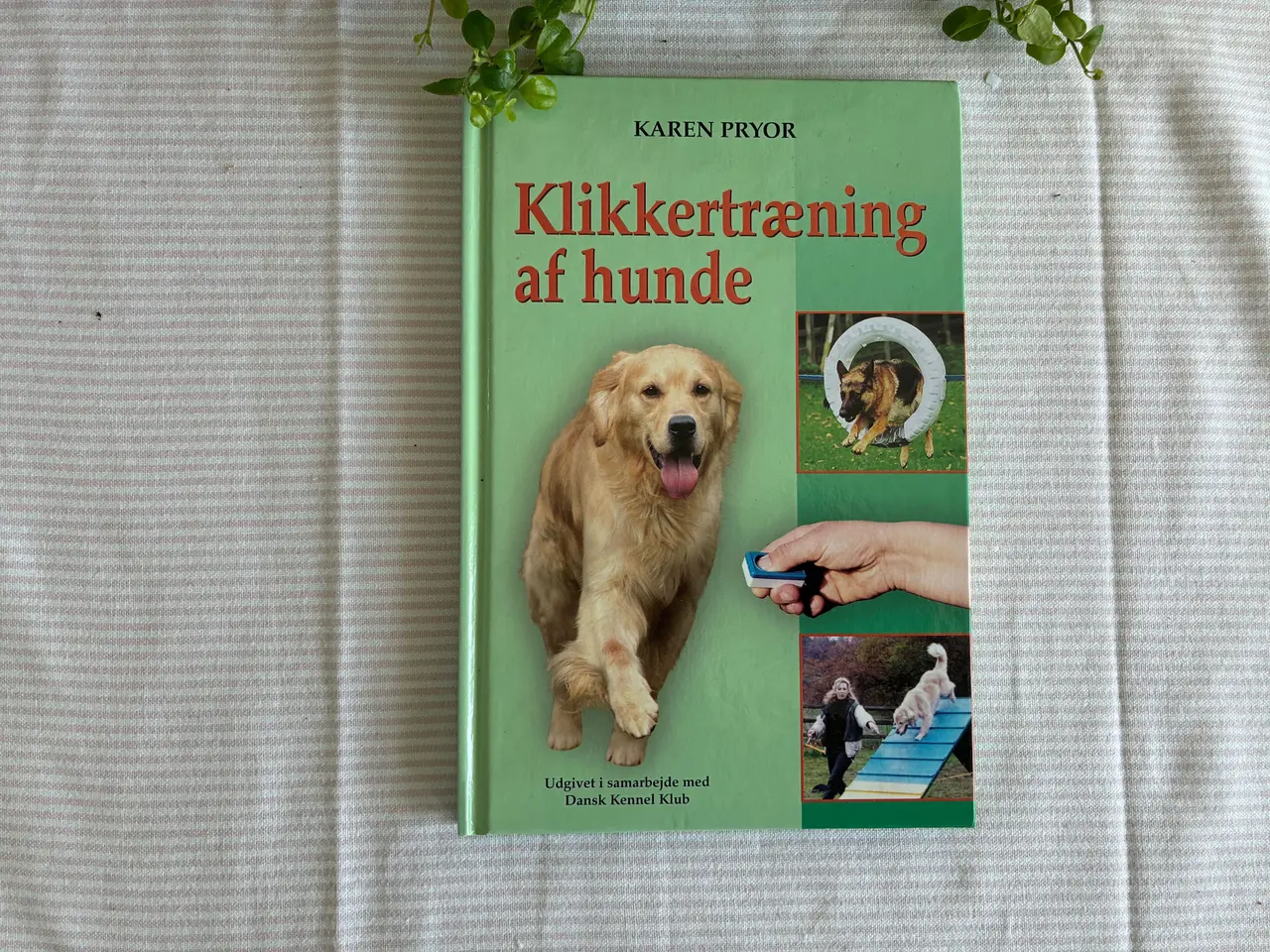 Billede 1 - Klikkertræning af hunde