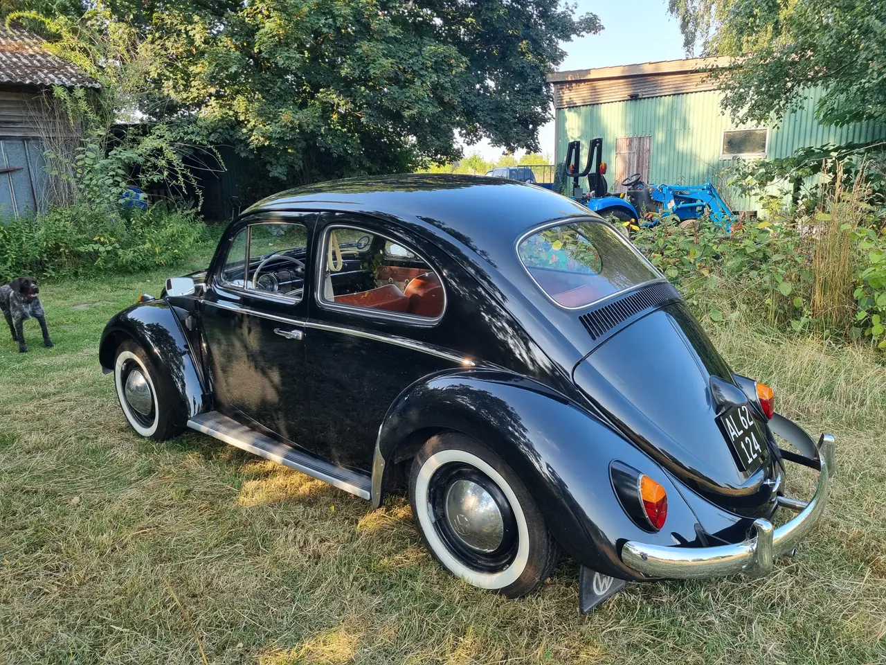 Billede 7 - VW buble 1961