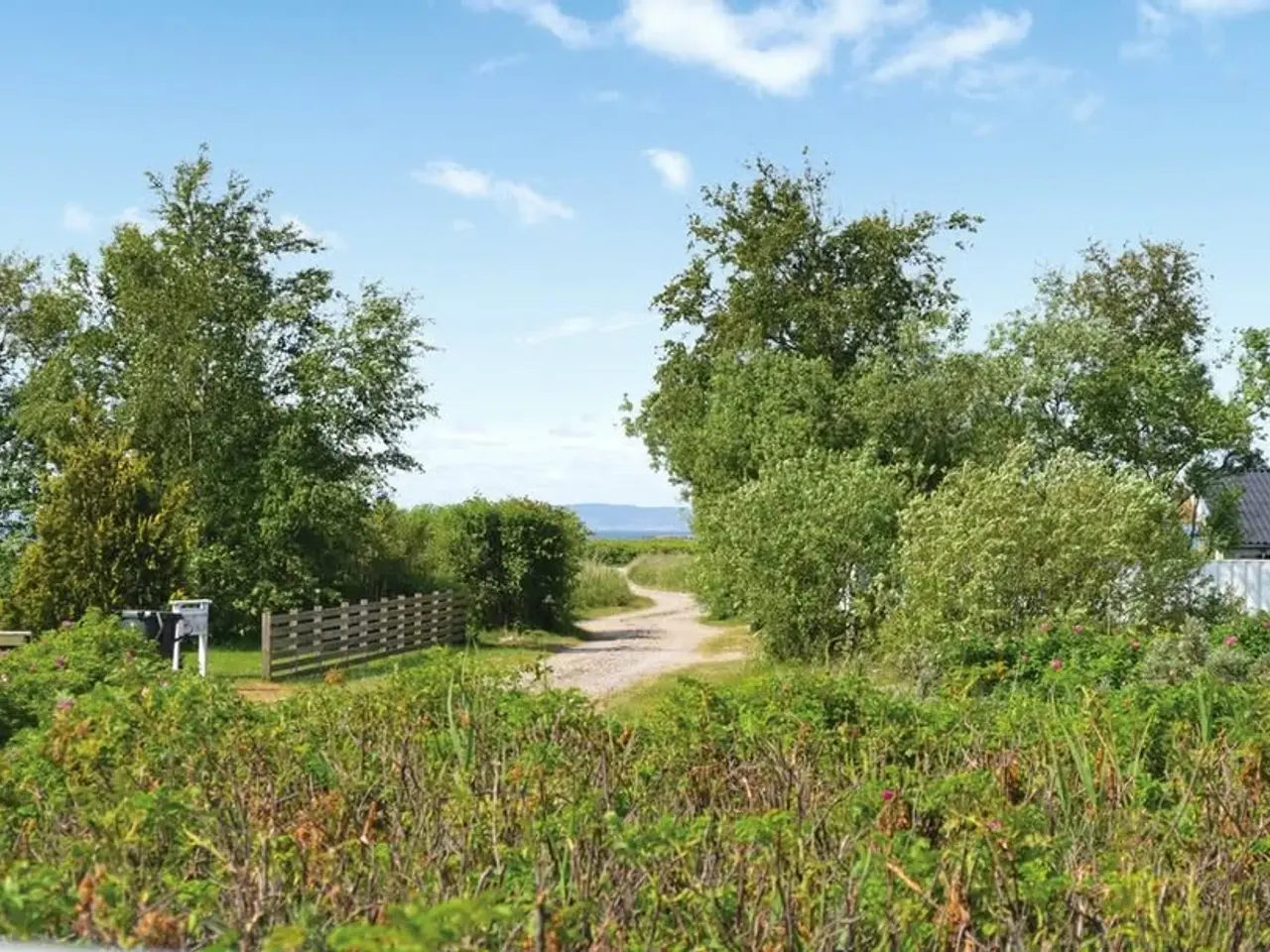 Billede 16 - Sommerhus der sænker pulsen