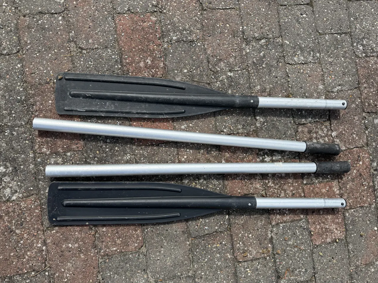 Billede 1 - Årer