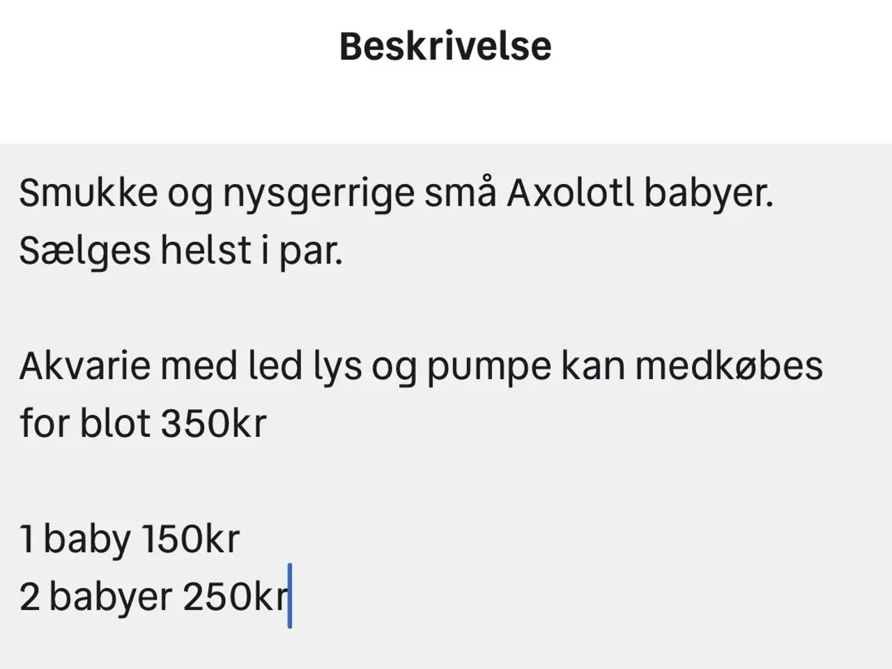 Billede 4 - Axolotl yngel