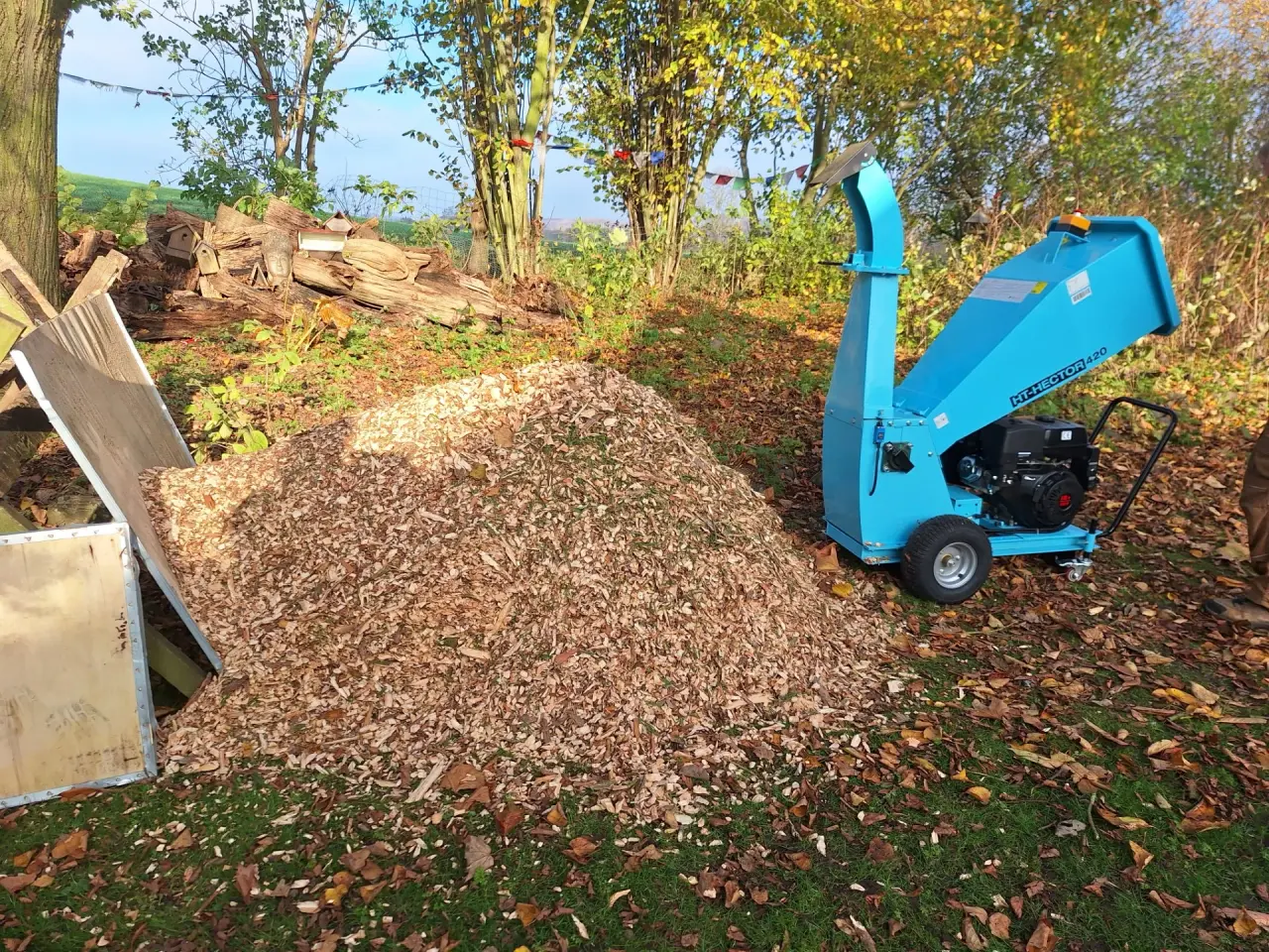 Billede 2 - Opstamning af træer og dine grene til flis.