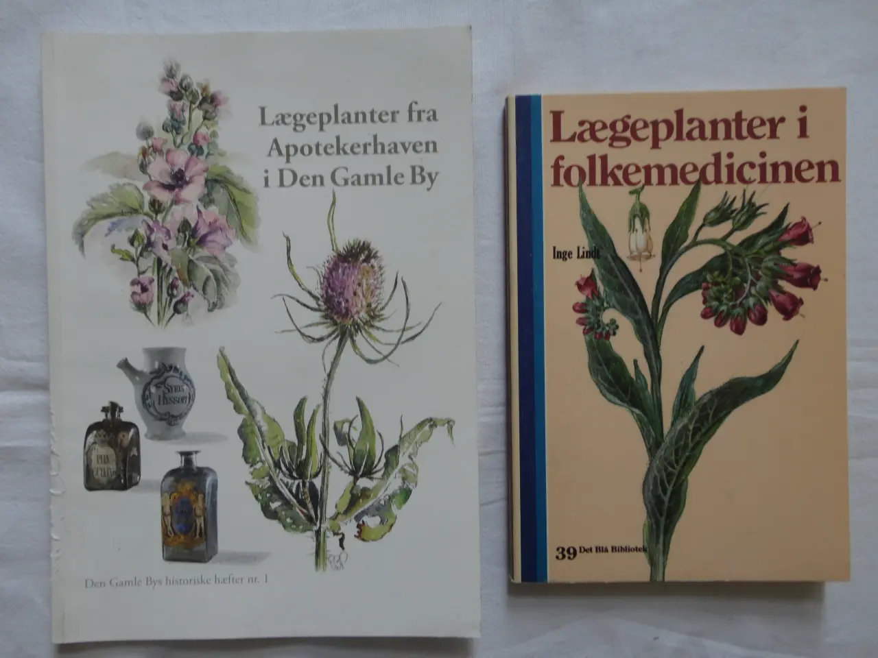 Billede 1 - Læge Planter  []