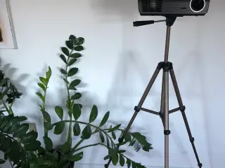 Projektor/lærred