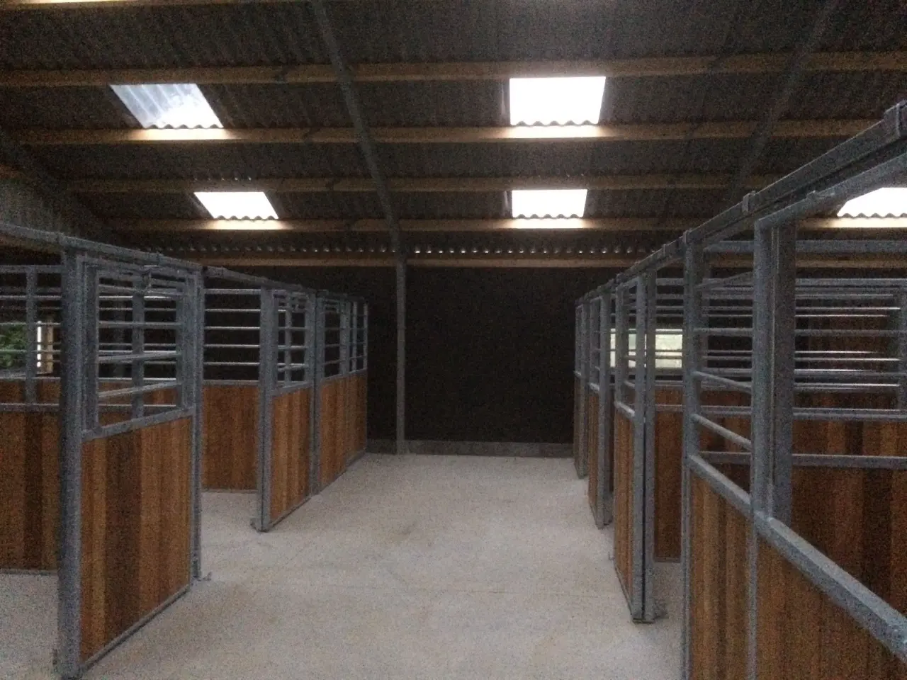 Billede 3 - HESTEBOKSE - TILBUD - 4 m front+ 4 m side