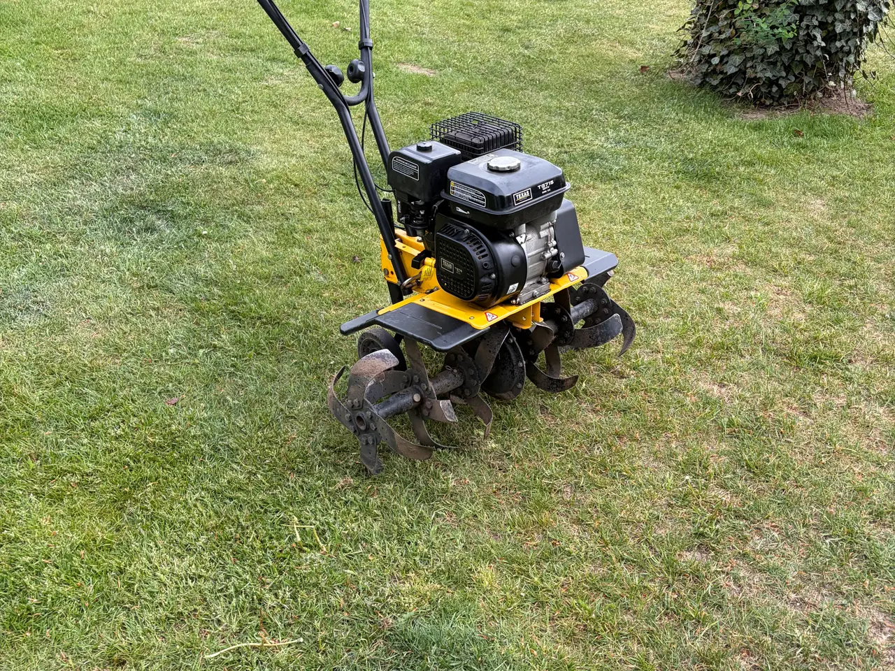 Billede 2 - Texas Lilly Havefræser 5hp sælges.