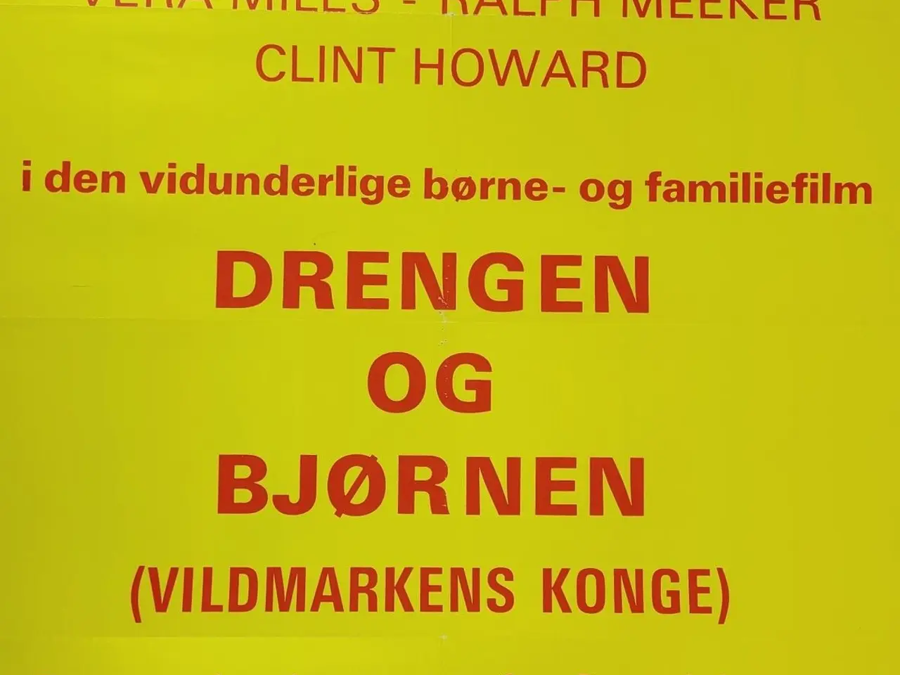 Billede 2 - ⭐️- Plakat: Vintage - Drengen og Bjørnen - Vildmar
