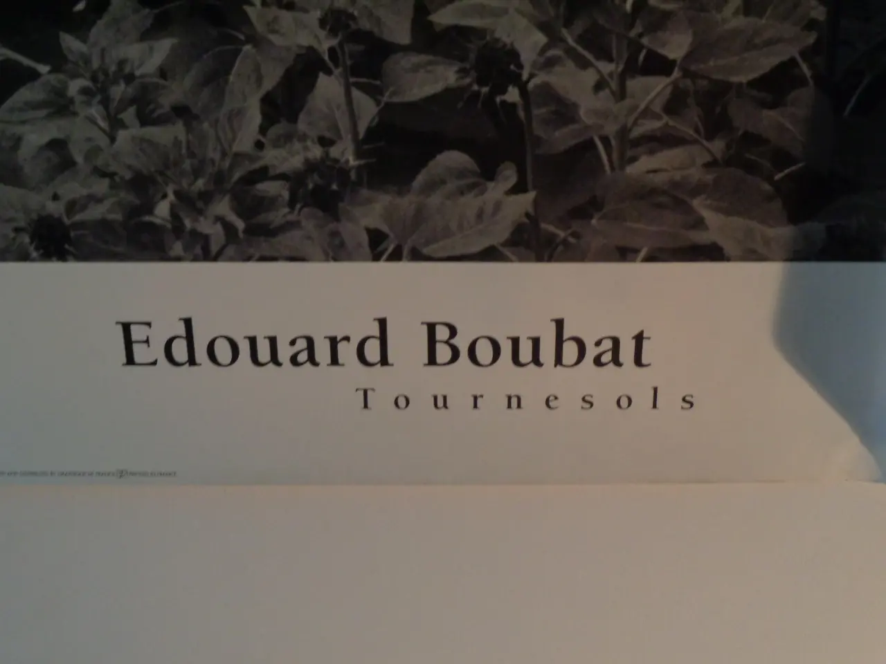 Billede 3 - EDOUARD BOUBAT