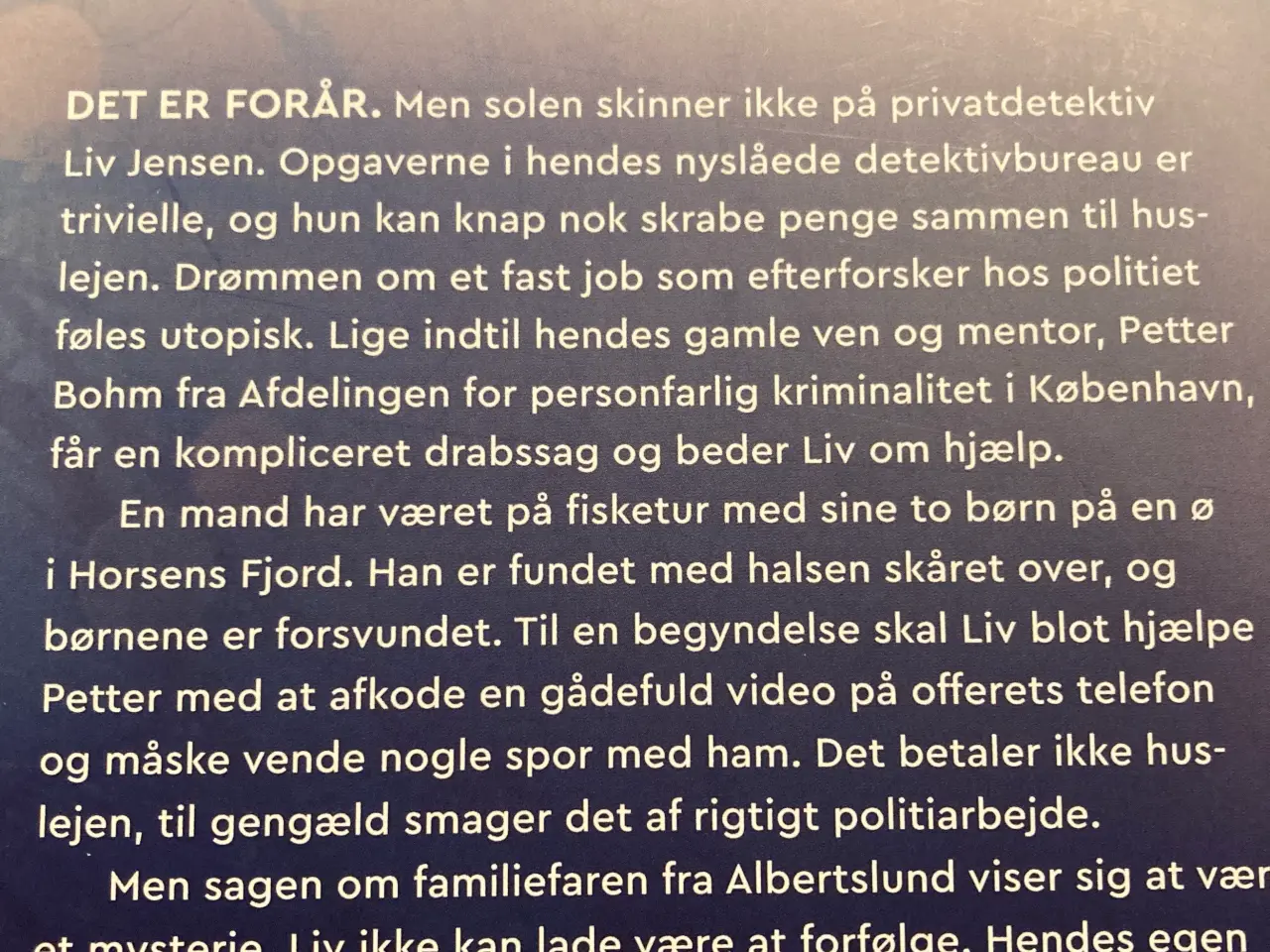 Billede 2 - De hvide nætter - Katrine Engberg