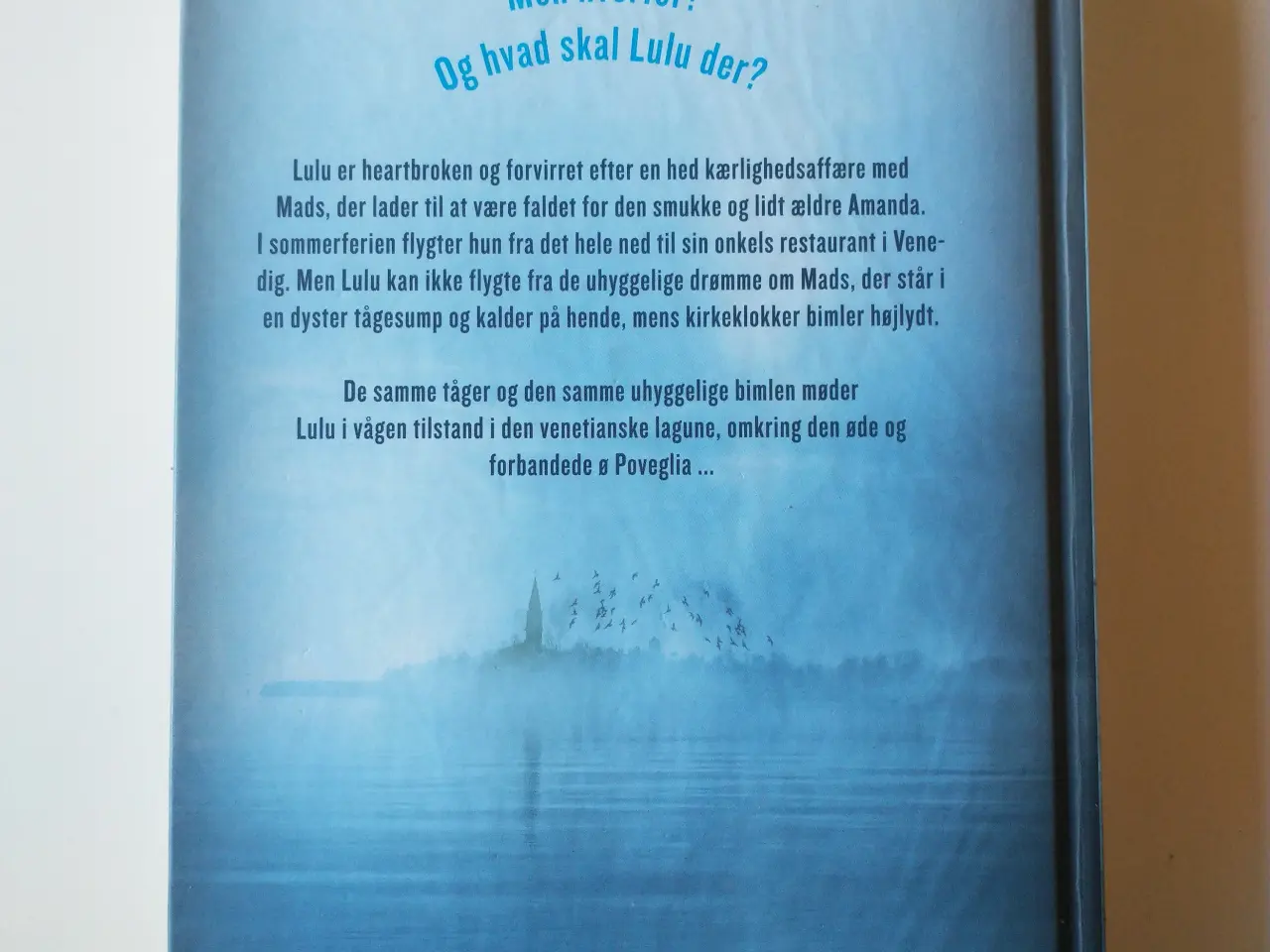 Billede 2 - Insania. Af Birgitte Lorentzen