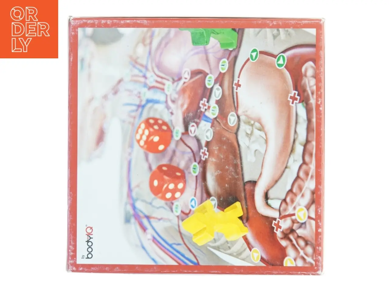 Billede 3 - Brætspil 'BODY junior' (str. 26 x, 26 x 11 cm)