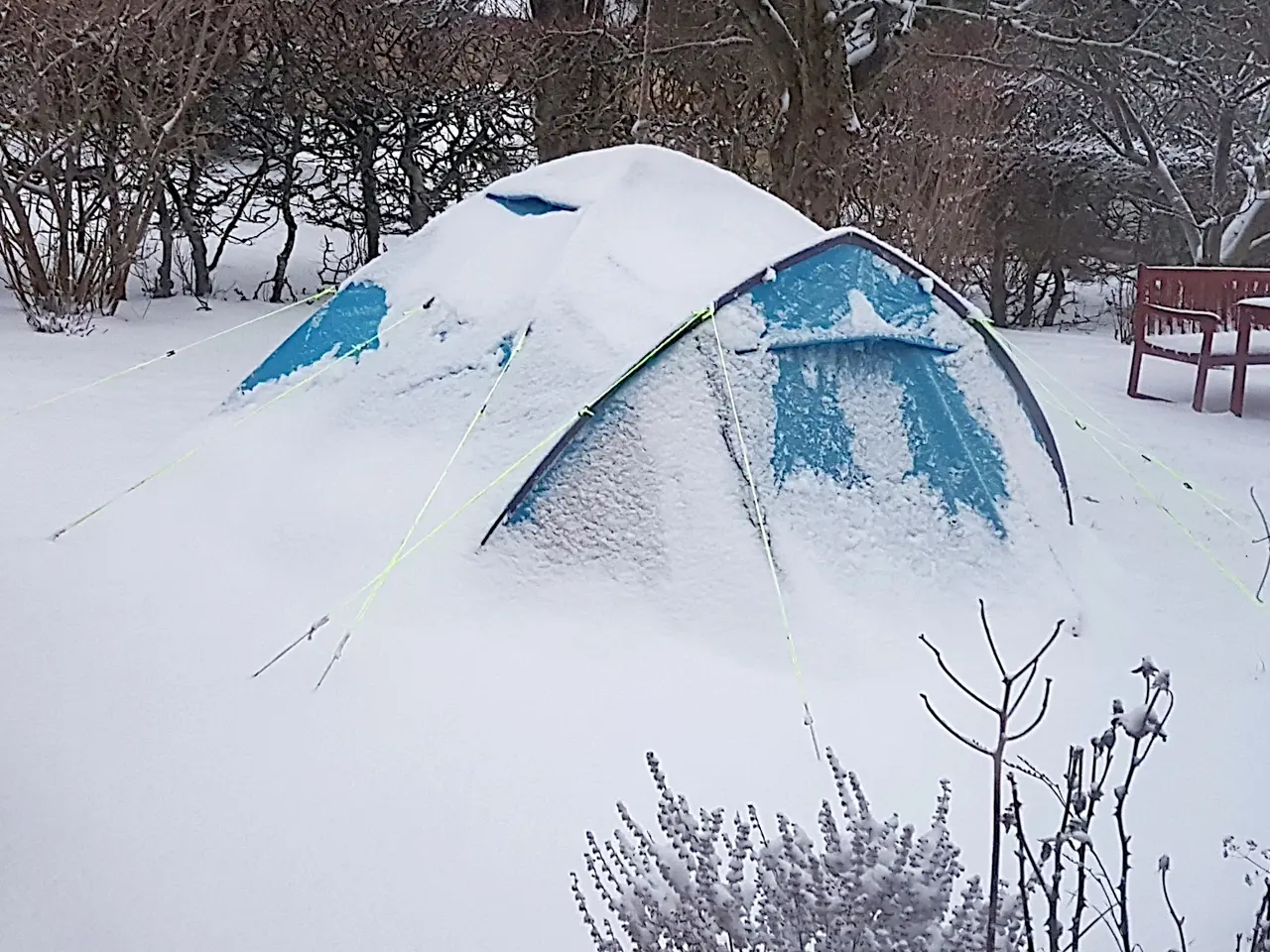 Billede 1 - Telt - STORM-SIKRET, VINTER-ISOLERET, ETC.