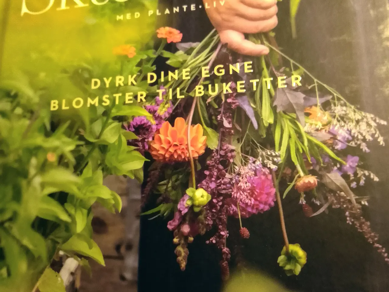 Billede 1 - Skærehave med PlanteLiv