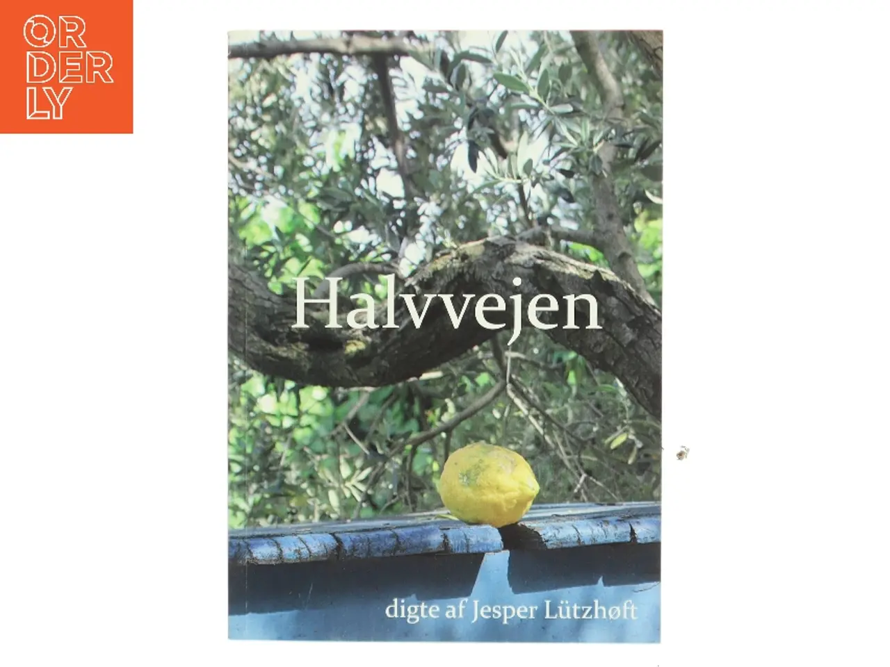 Billede 1 - Halvvejen af Jesper Lützhoft (Bog)