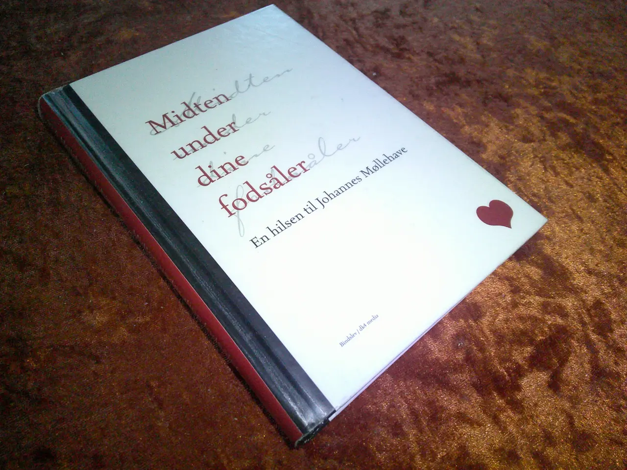 Billede 4 - Johannes Møllehave