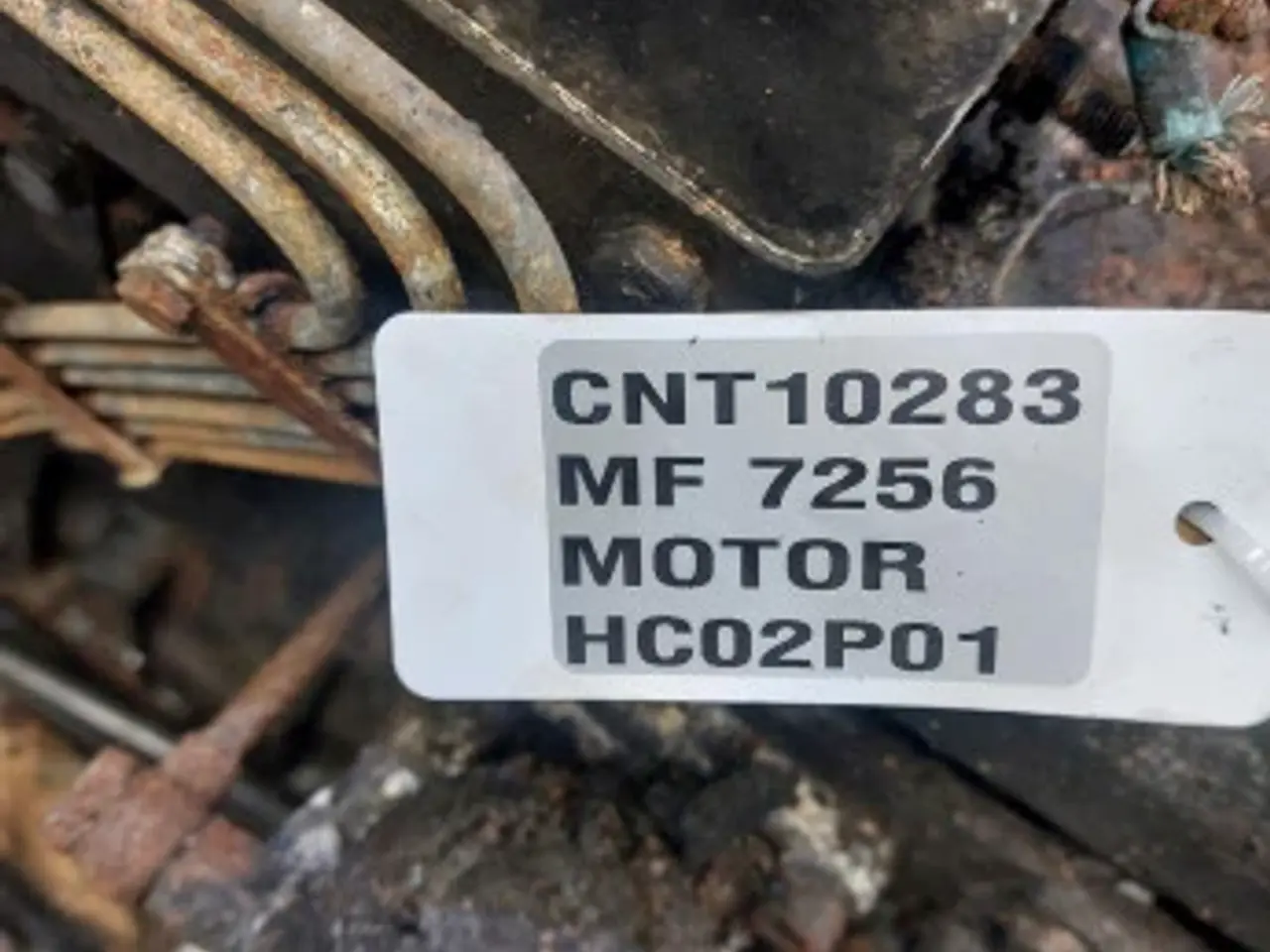 Billede 6 - Massey Ferguson 7256 Motor 