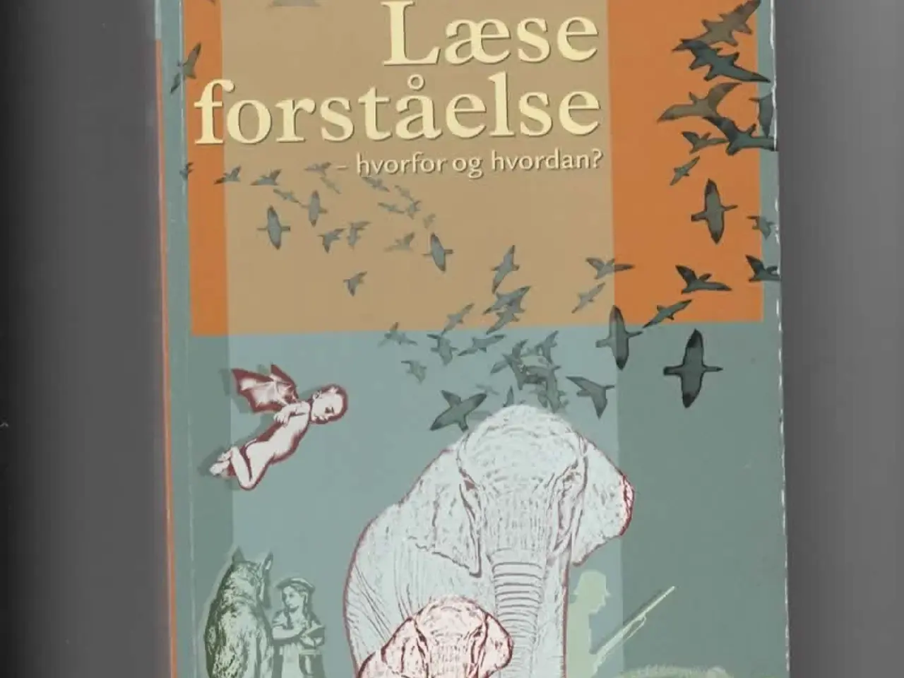 Billede 2 - læseforståelse