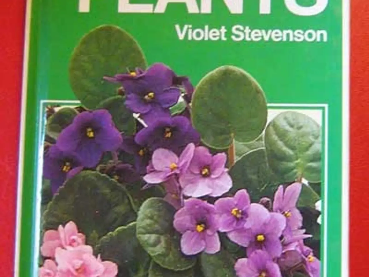 Billede 1 - Violet Stevenson: Indoor Plants