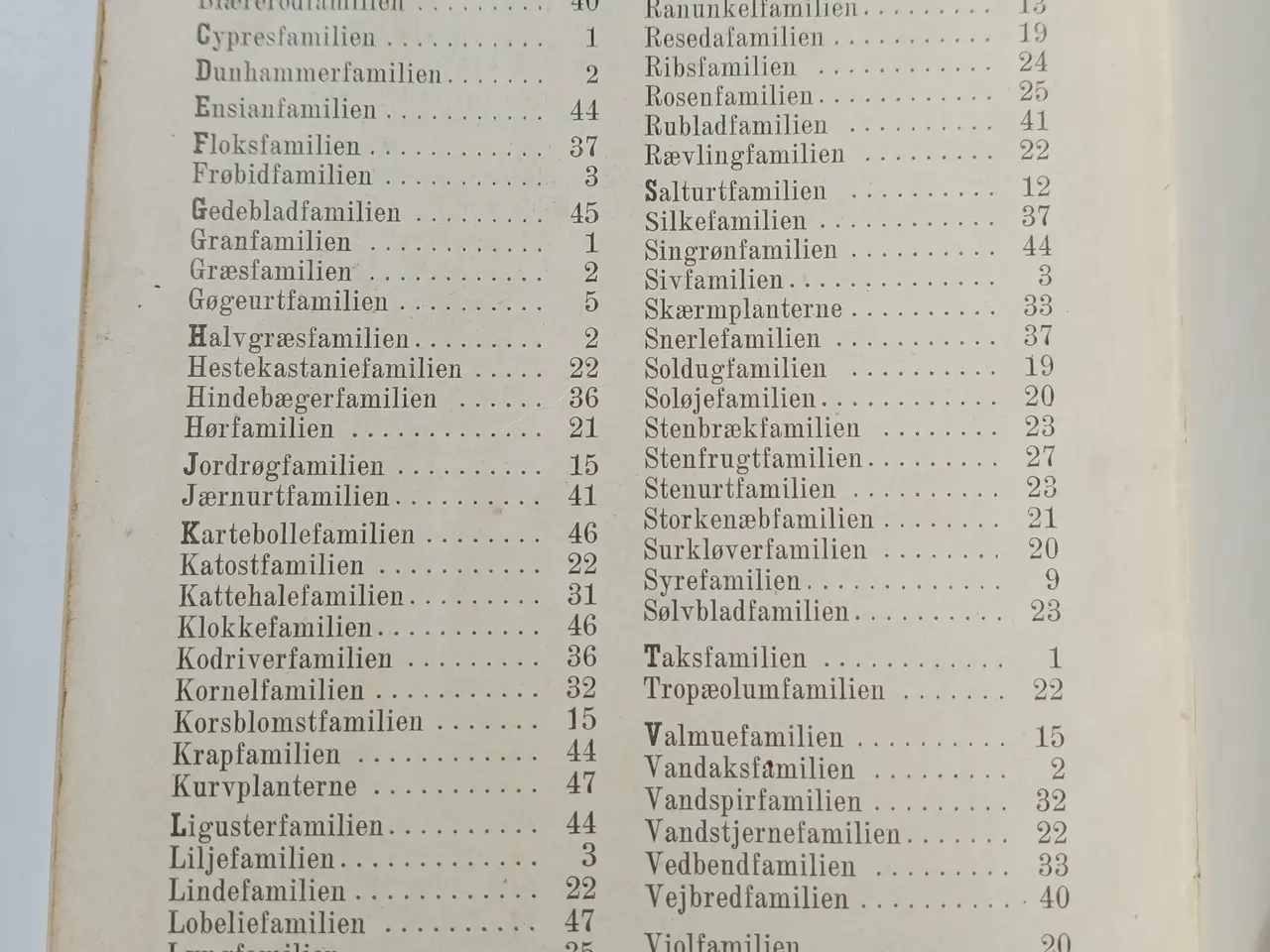 Billede 7 - Lille Flora af H. Rasmussen & K. Simonsen