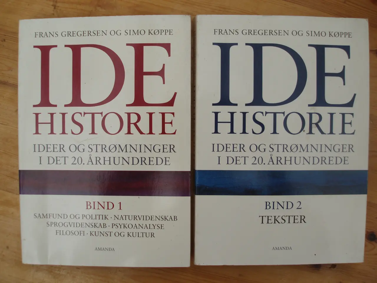 Billede 1 - IDE historie, ideer og strømninger i det 20.århund
