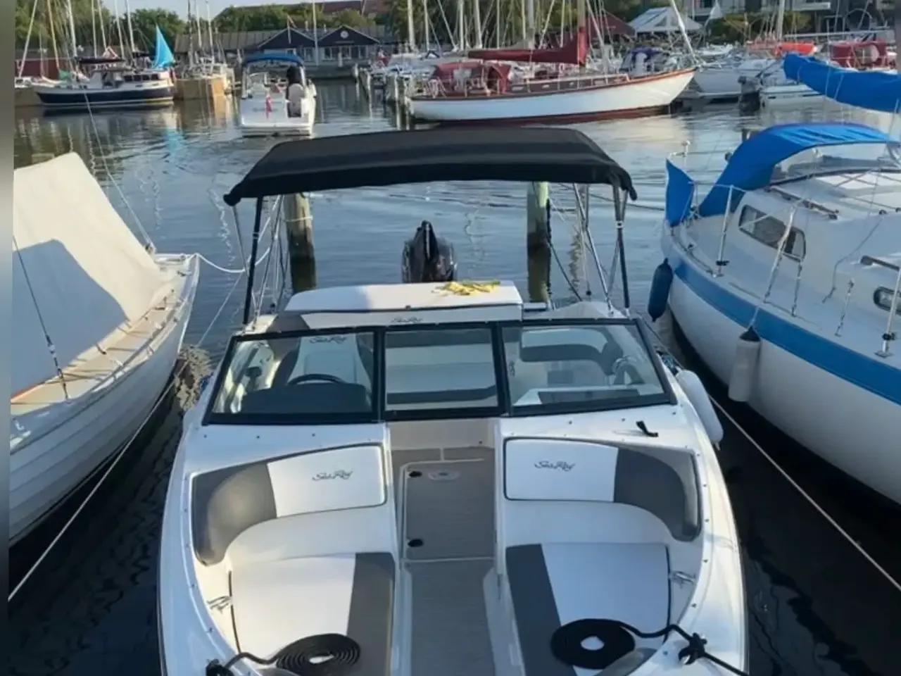 Billede 2 - Sea Ray 190 SPX OB med 150 hk Mercury