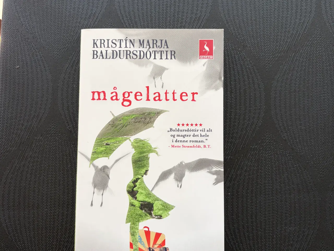 Billede 3 - Kristín Marja Baldursdóttir