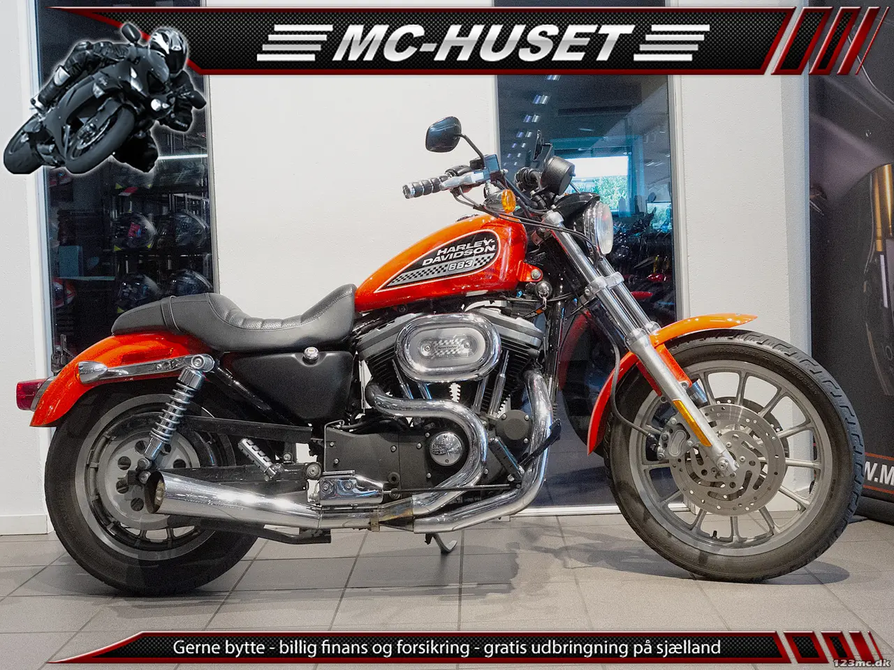 Billede 1 - Harley-Davidson XL883 Standard 100th Year Anniversary