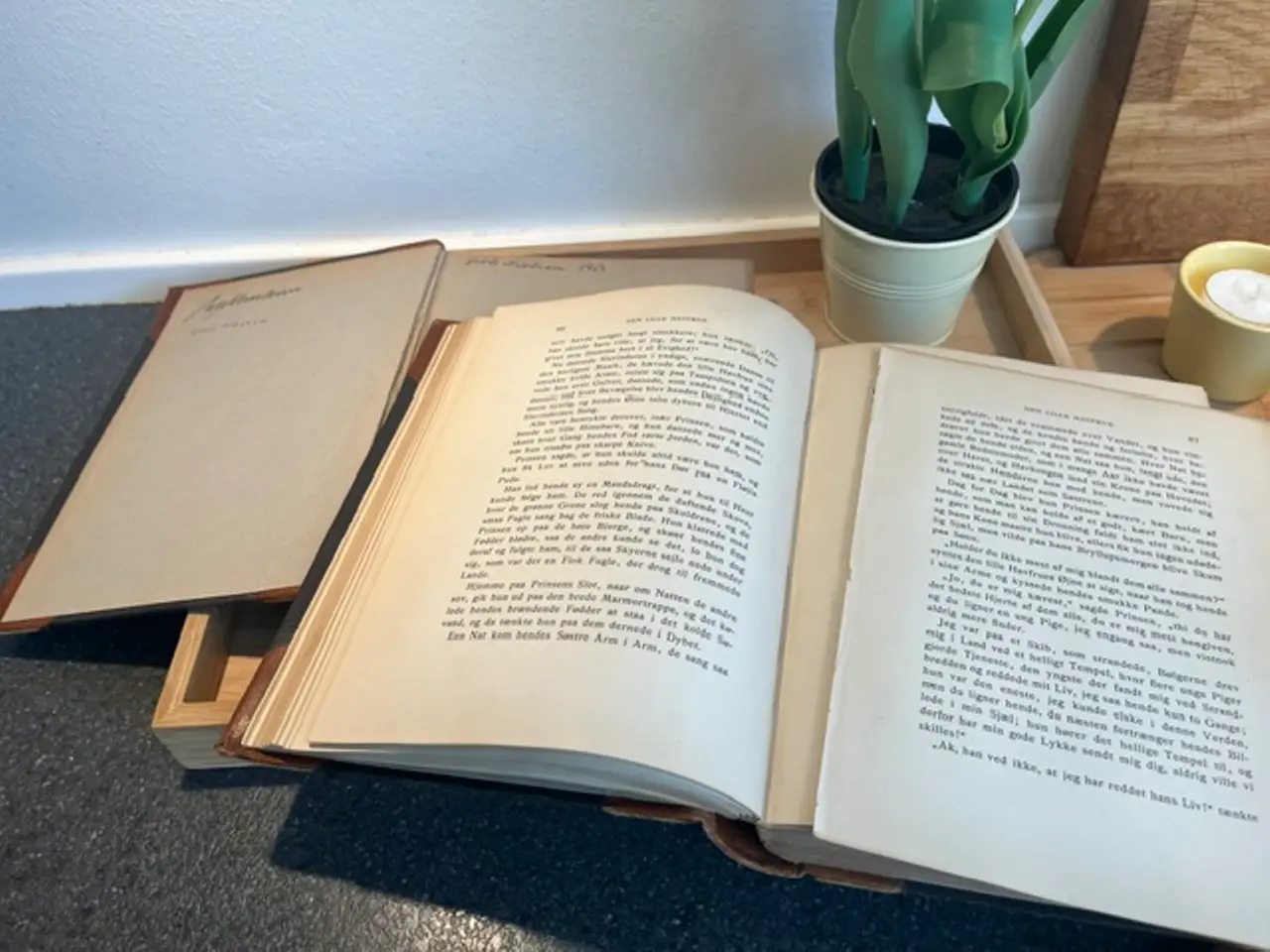 Billede 4 - H.C. Andersen: Eventyr og Historier Kunst-Udgave,