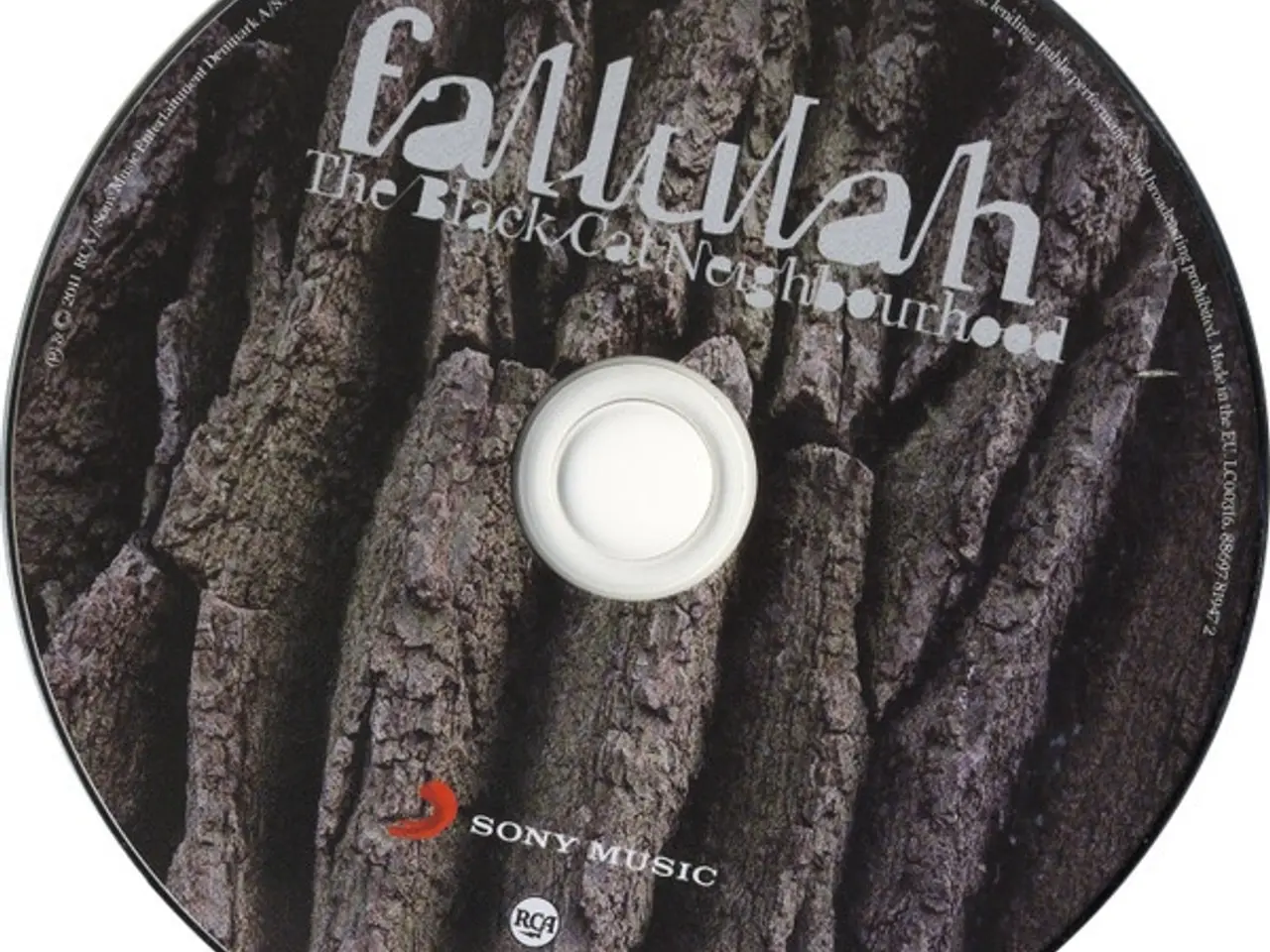 Billede 3 - Fallulah – The Black Cat Neighbourhood – CD