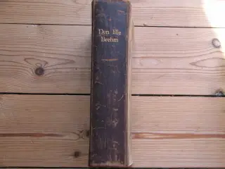 Dr. A. E. Brehm (1829-1884). Den lille Brehm