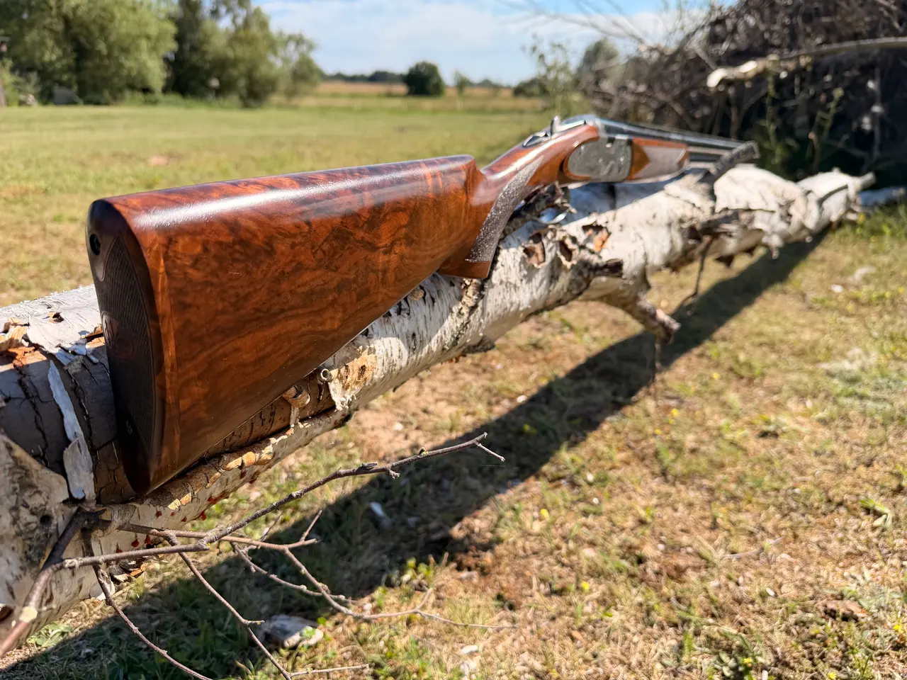 Billede 15 - Beretta 687 EELL 20/76 Med nye billeder