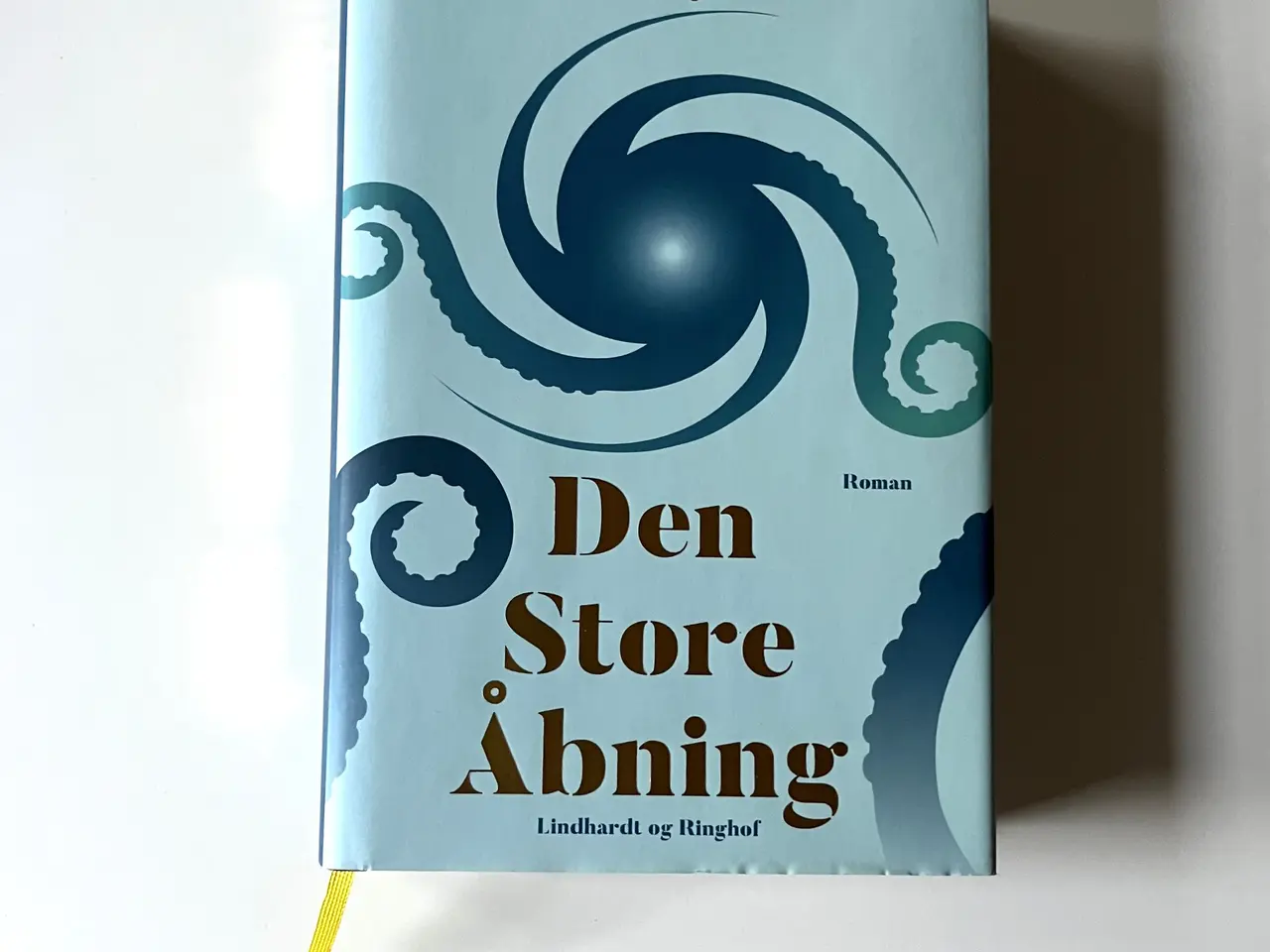 Billede 1 - Den store åbning. Af Merete Pryds Helle